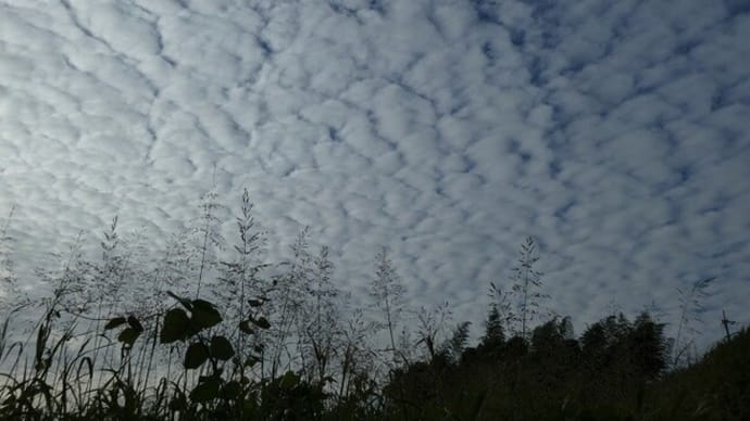 うろこ雲