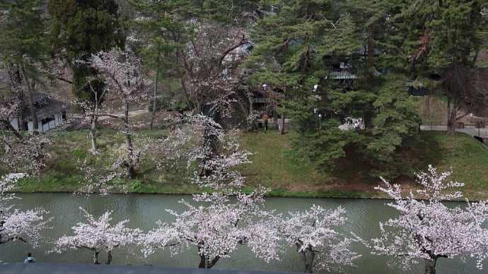 弘前公園(弘前城)の桜 番外編