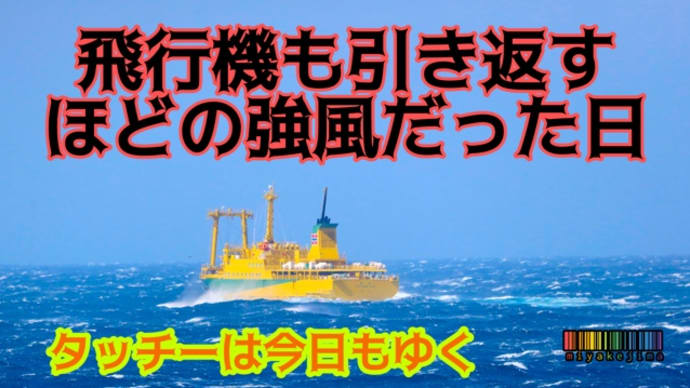 飛行機が引き返すほどの時化の日もタッチーは今日もゆく