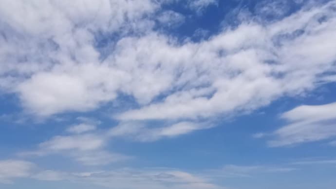 今日から🙂