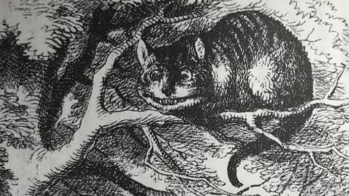 猫は笑うのだろうか?