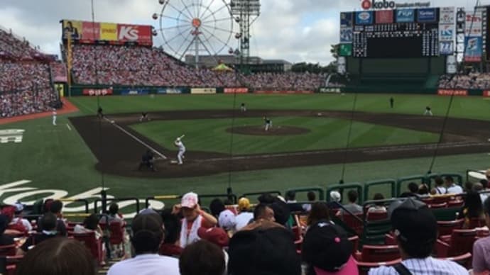 今年最後の野球観戦