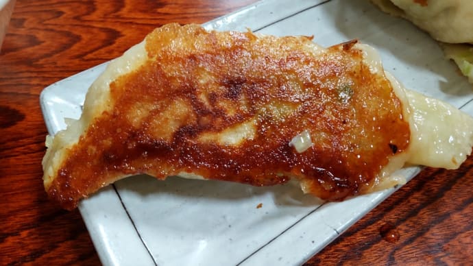 高崎で有名なジャンボ餃子食べてきたよ!