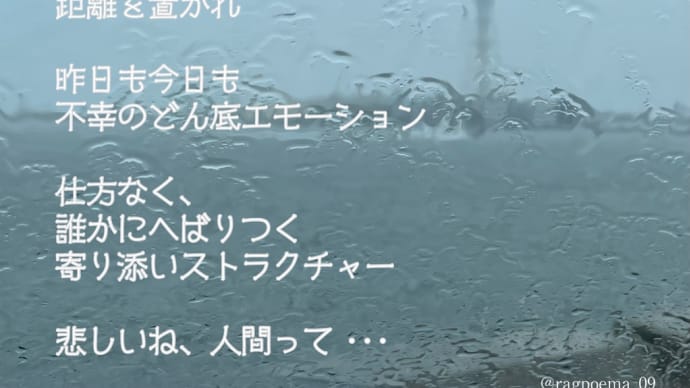 寄り添う / ラグの写真詩