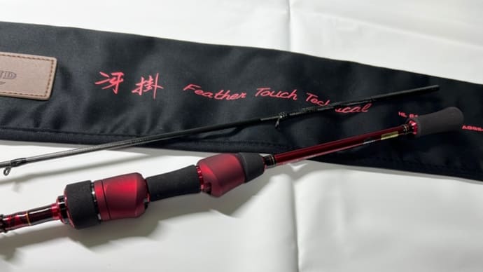 Daiwa ハートランド 冴掛 Feather Touch Technical インプレ