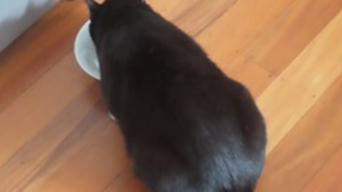 早食いと遅食い