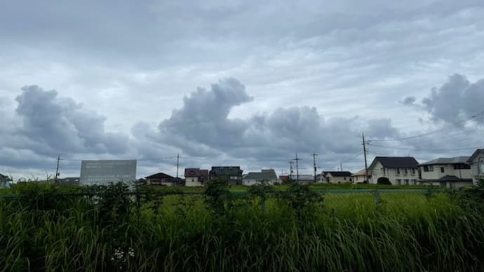 想像力を搔き立てる雲の面白さ!