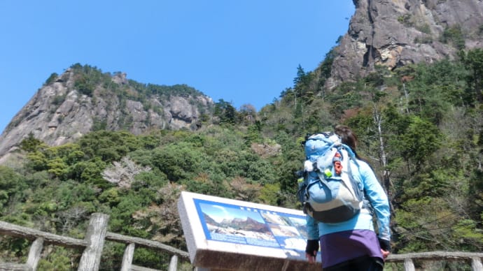 ６日．ミツバツツジを期待して比叡山へ