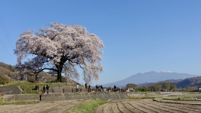 20230401の天気@八ヶ岳