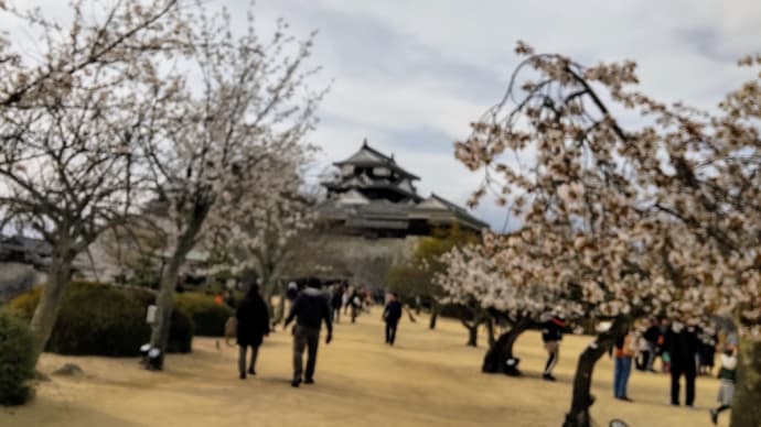 愛媛のお城めぐり(松山城)