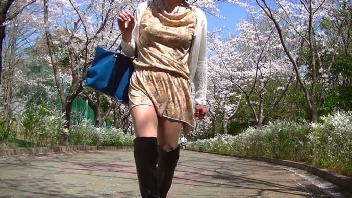 桜の回廊 🌺