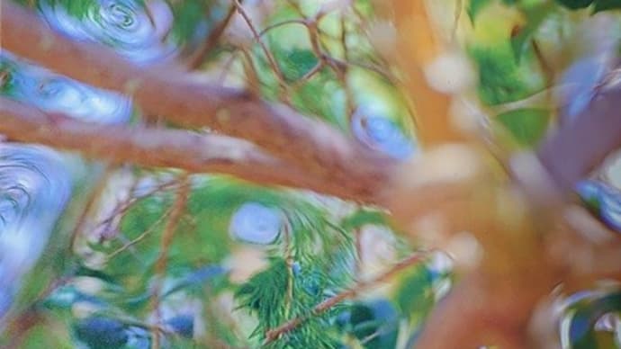 森の芸術祭 晴れの国・岡山~奈義町現代美術館