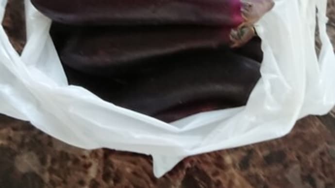 秋茄子