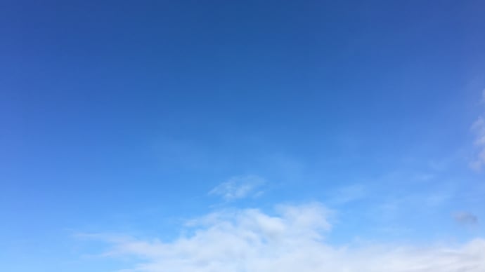 青い空から雨が降ります😳