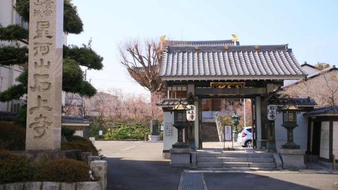 石上寺の熊谷桜