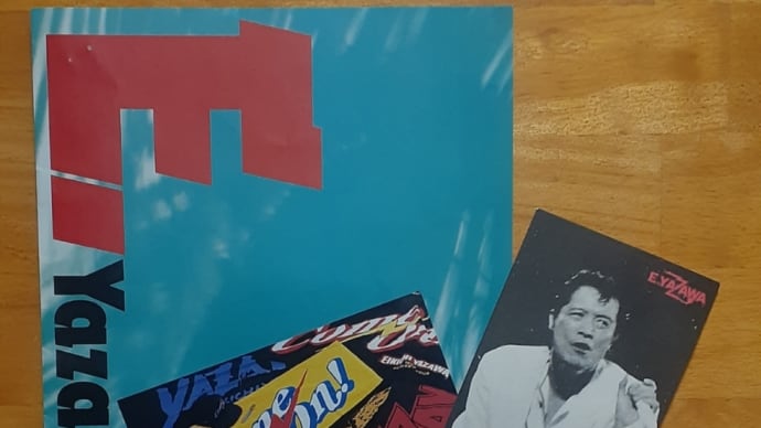 メモリアルチケットとグッズパンフ  18