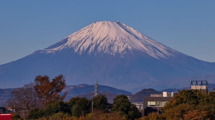 09/Dec 朝の富士山とユリカモメとノスリとカンムリカイツブリとタゲリ