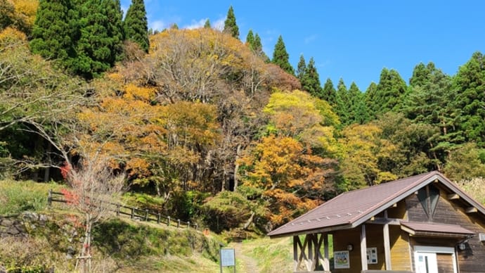文化の日は晴れの得意日です。