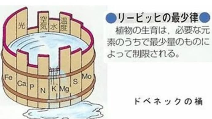 リービッヒの最小律