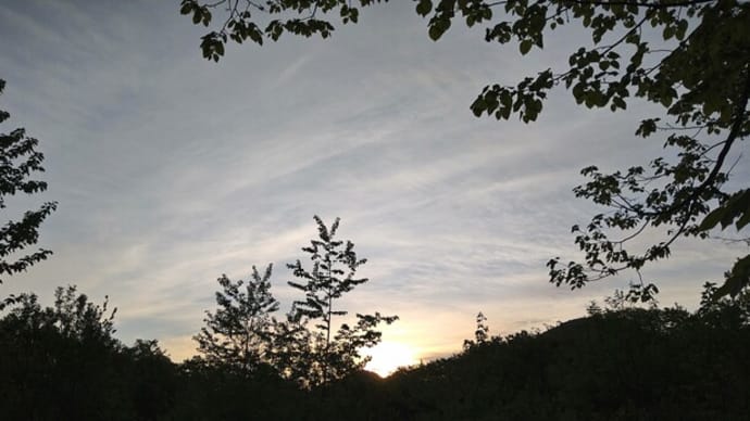 出待ちの蕗たちの空