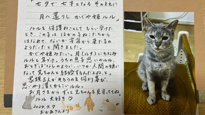 ねこがしあわせに暮らせますように