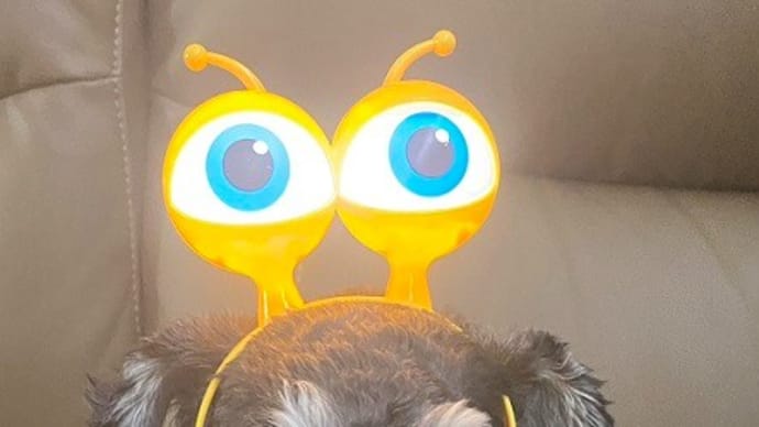 全員揃ったシュナ星人