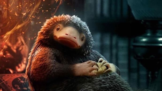 「ファンタスティック・ビーストとダンブルドアの秘密」(2022米/ワーナー・ブラザース映画)