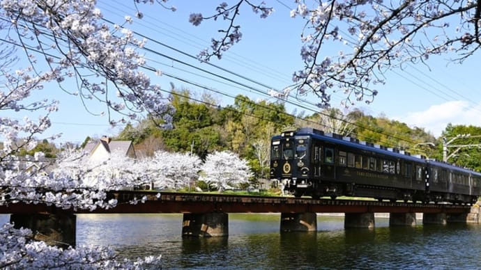 貴志川線の猫電車 ① ~「たま駅長」と桜