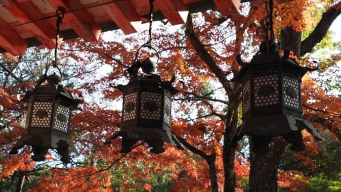灯篭と鹿と紅葉の春日大社ー奈良へ紅葉狩りⅤ