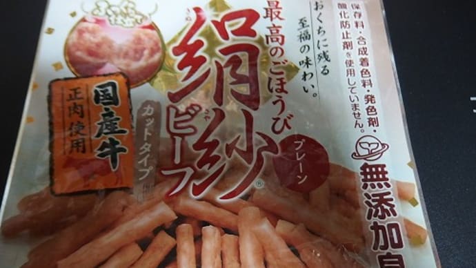 明日は愛犬教室