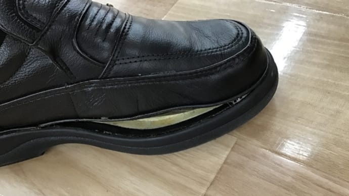 お気に入りの靴?