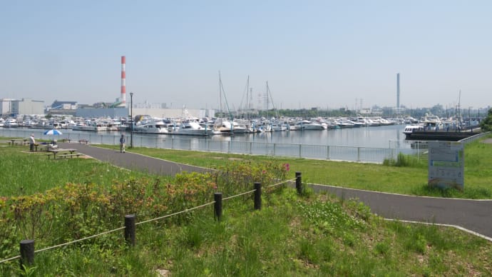 5月の夢の島公園:第五福竜丸展示館敷地前から第二(北)駐車場前へ PART2