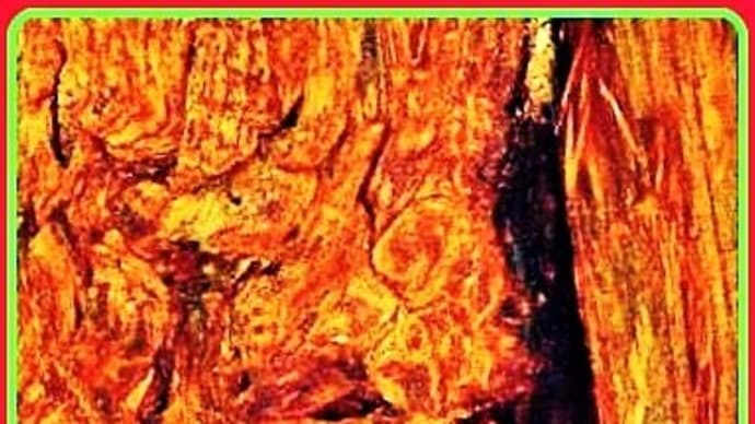 🐉🌈〖中尊寺〗御神木に【🔥不動明王様🔥】出現❢❢