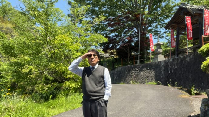 黄菖蒲が咲きだし緑に色を添える、田植えももう終わったところもあるよ