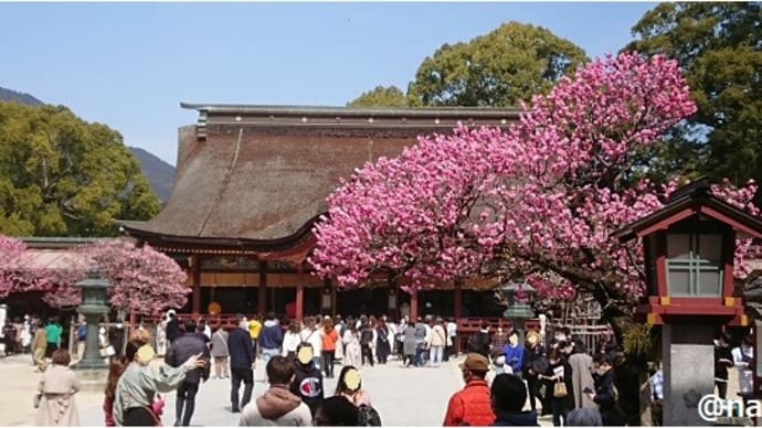 長崎への旅 第10巻<太宰府天満宮 編>