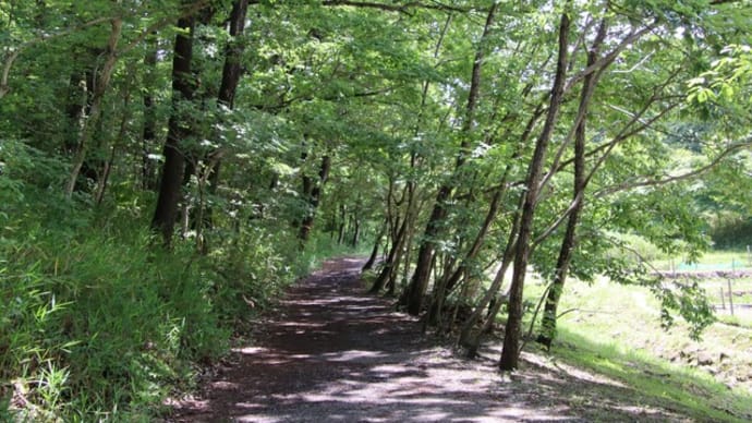 再び平和公園