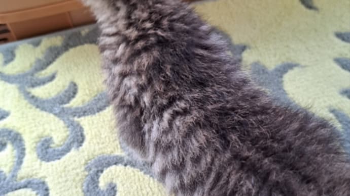 そと眺め?