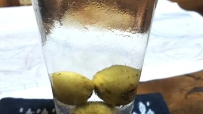 さるなしとさるなし