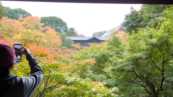 東福寺へ