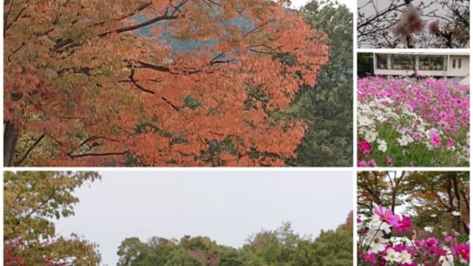 やっと植物公園