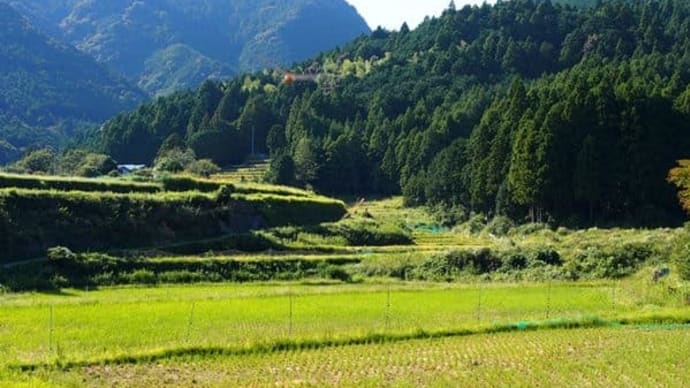三重県・御浜町の 「尾呂志の棚田」