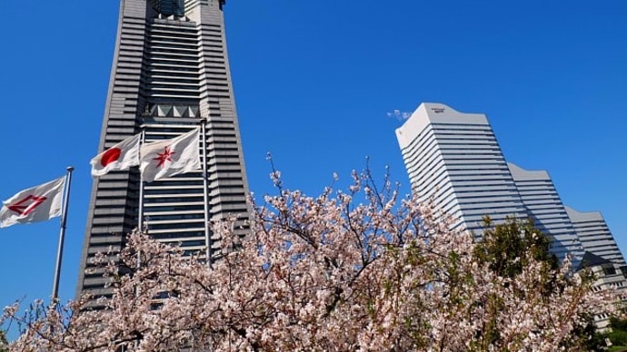 横浜みなとみらいの春景色2024