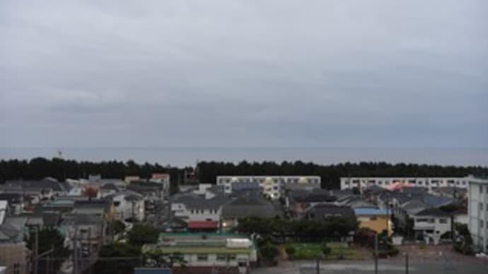 ひと雨降った?
