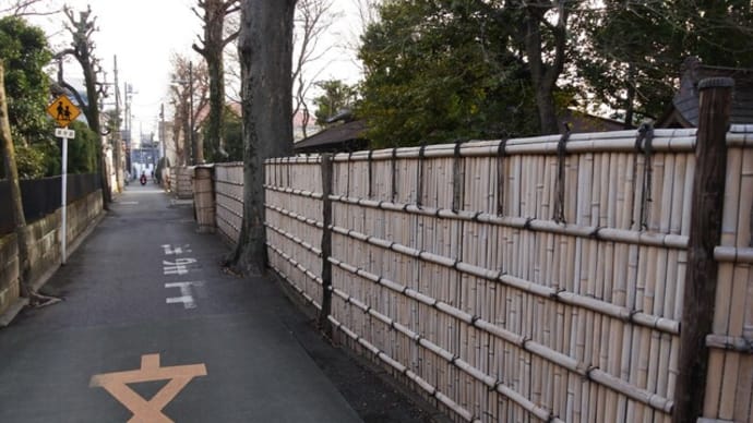 04-Feb-25 中野周辺をお散歩