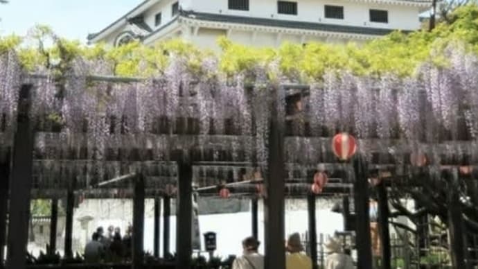 親を大切に