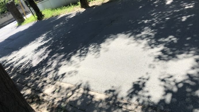 木陰とフローズンヨーグルト