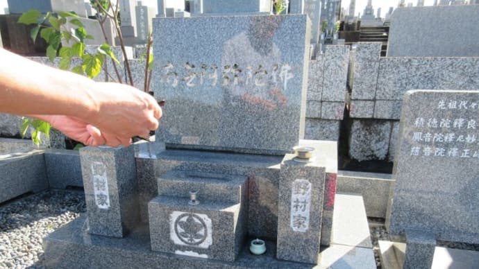 即位礼正殿の儀・・・でしたが・・