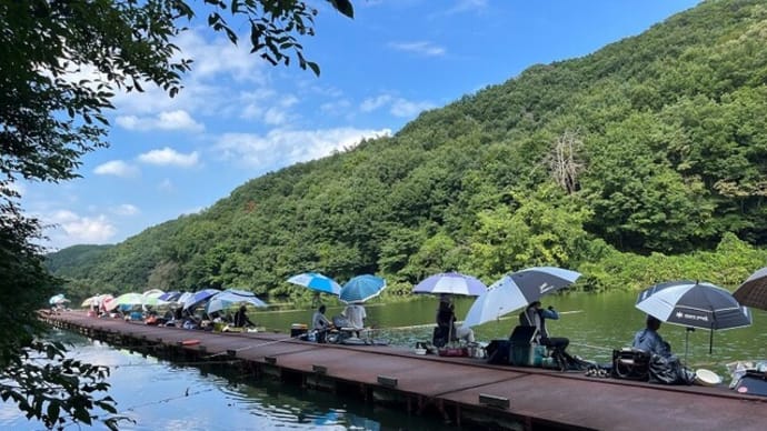 円良田湖 へら釣り 2024 9 10 梨の木桟橋 23名並びでびっくり! ちょうちん縛り釣果はきつかったですw どこも好釣果はハリスカッツケ?なんすかね?