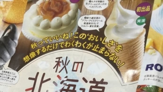 #新千歳空港【ソフト・アイスクリーム総選挙2019】でシルバー賞受賞㊗️初出品秋の北海道大収穫祭❣️