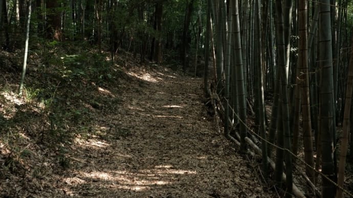 2021 11月の倫勝寺行持日程